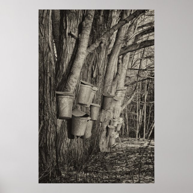 Poster Heure du sirop d'érable (Devant)