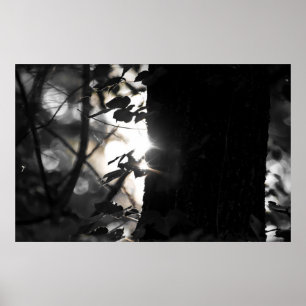 Poster Heure Magique Lever De Soleil Parmi Les Arbres