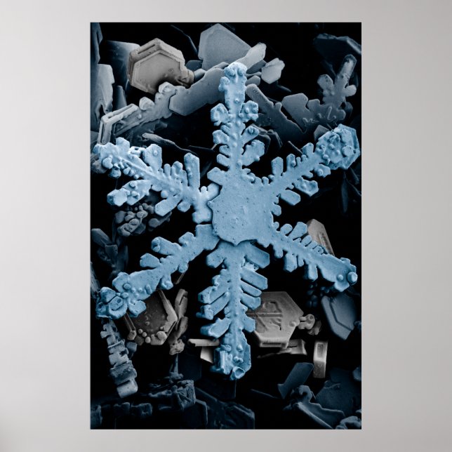 Poster Hexagonal amplifié Flocon de neige Dendrite (Devant)