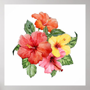 Poster Hibiscus