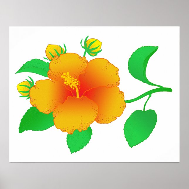 Poster Hibiscus (Devant)