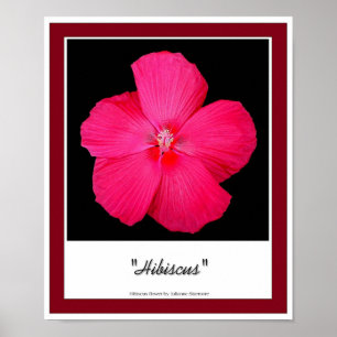 Poster Hibiscus