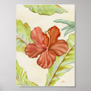 Poster Hibiscus Art Print 5x7
