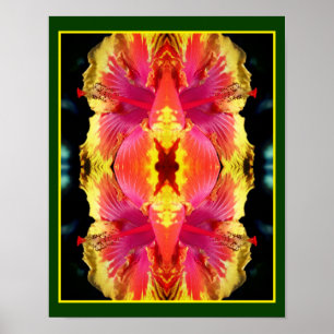 Poster Hibiscus coloré Fleur Fermer Abstrait