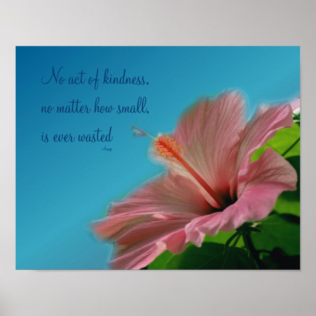 Poster Hibiscus rose Citation de bonté fleur Inspiration (Devant)
