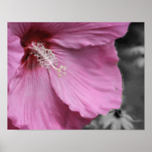 Poster Hibiscus rose Peinture Art