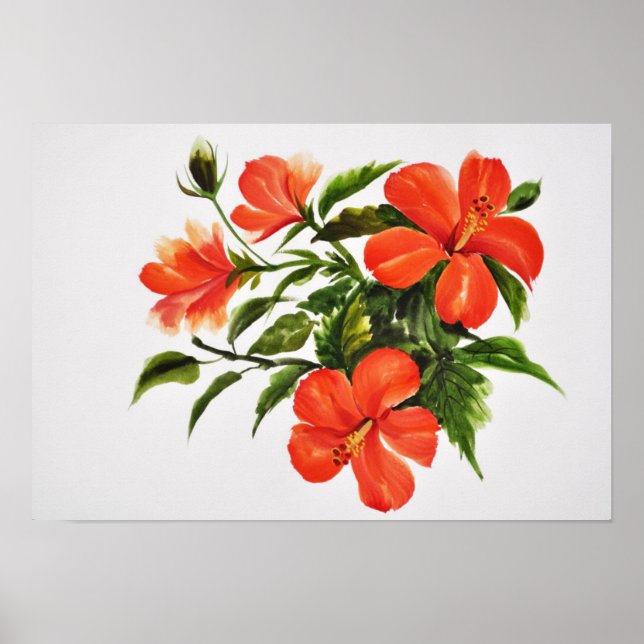 Poster Hibiscus rouge chaud (Devant)