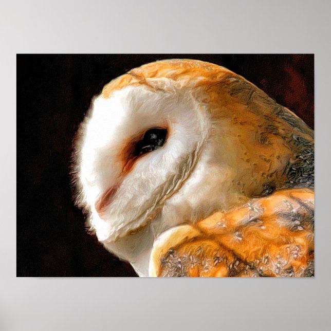 POSTER HIBOU (Devant)