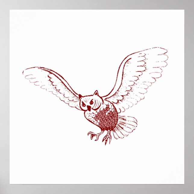 Poster Hibou (Devant)