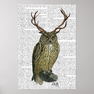 Poster Hibou avec des andouillers
