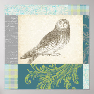 Poster Hibou gris sur l'arrière - plan de motif