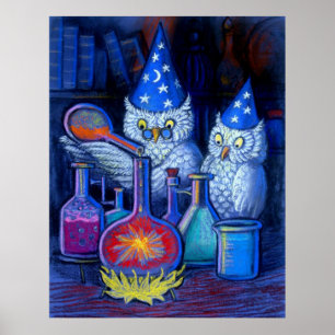 Poster Hibou sorciers Magique alchimie fantaisie drôle po