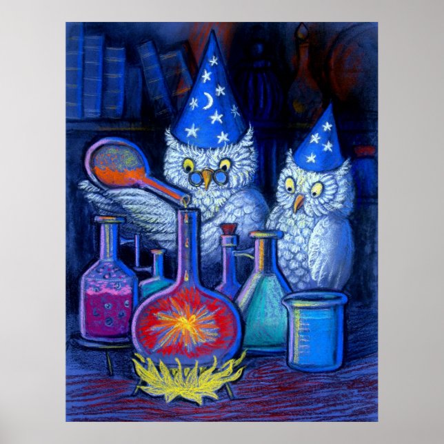 Poster Hibou sorciers Magique alchimie fantaisie drôle po (Devant)