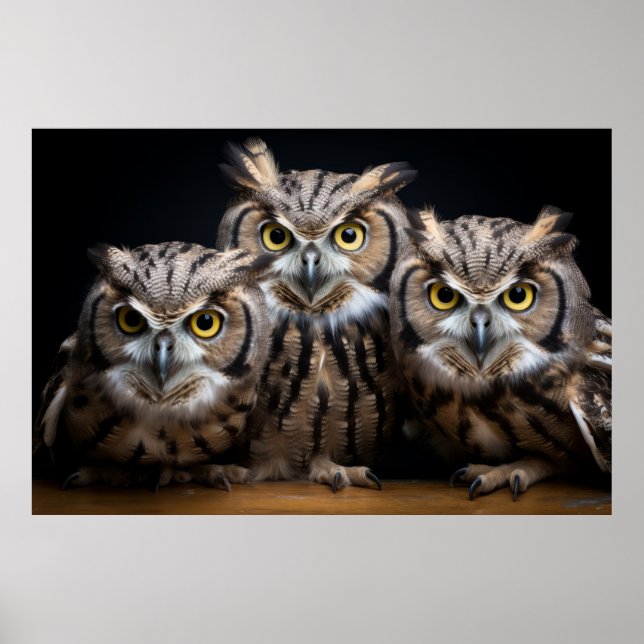 Poster Hibou Wild Animal Portrait Nature Beauté (Devant)