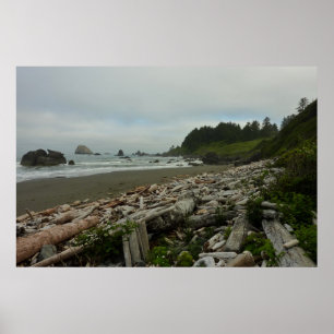 Poster Hidden Beach I at Redwood National Park