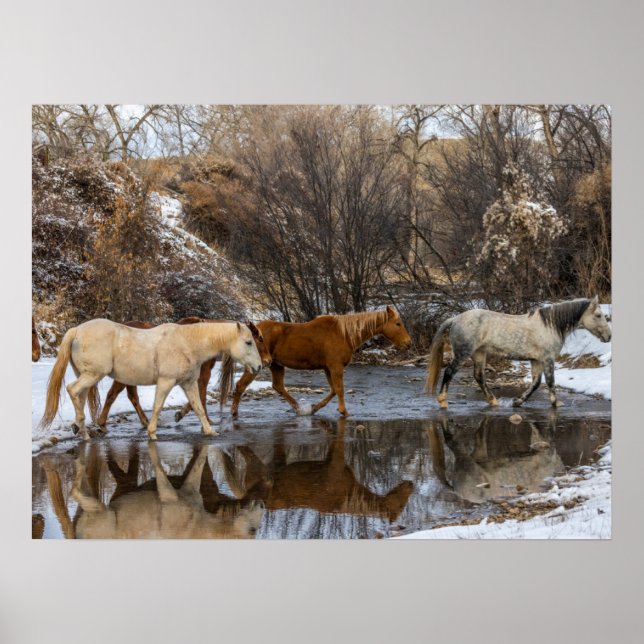 Poster Hideout Horse Ranch (Devant)