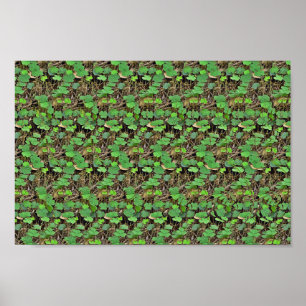 Poster Hiding in Shamrock - Hidden 3D print