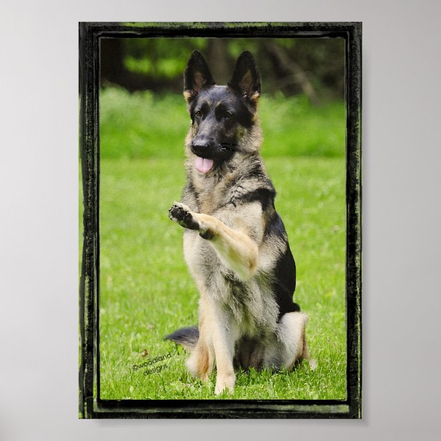 Poster High Five German Shepherd (Devant)