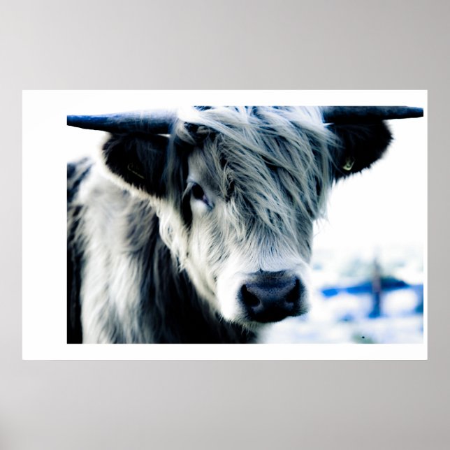 Poster Highland Blue (Devant)