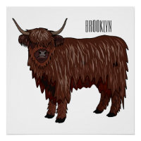 Highland cow