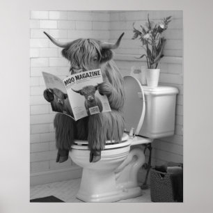Poster Highland Cow assis sur les toilettes Lecture Salle