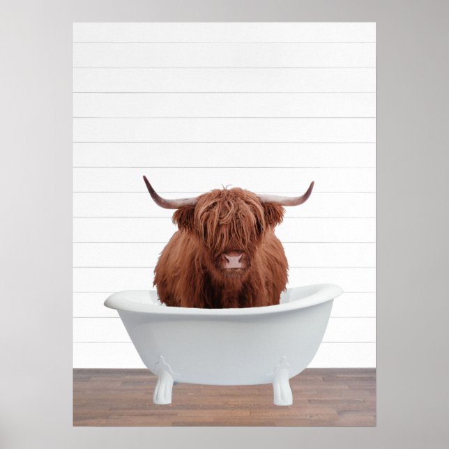 Poster Highland Cow Baignoire Maison Décor Salle de bain (Devant)