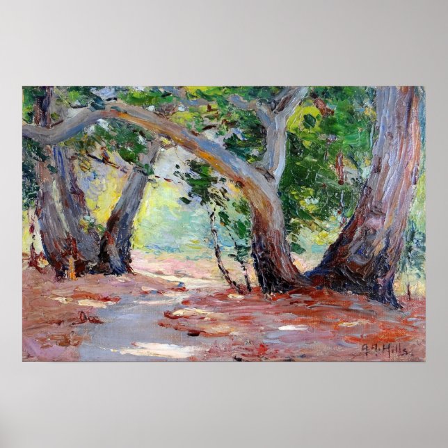 Poster Hills - Sunshine Shadow Orange County Park (Devant)