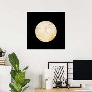 Poster Hilma Af Klint, Le Cygne n°14, Art Abstrait