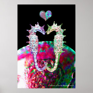 Poster HIPOCAMPES AMOUREUX ET Nacre ROSE