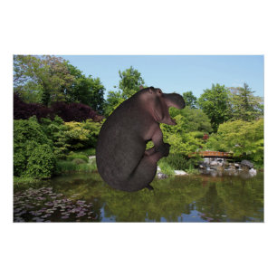 Poster Hippo de canonball