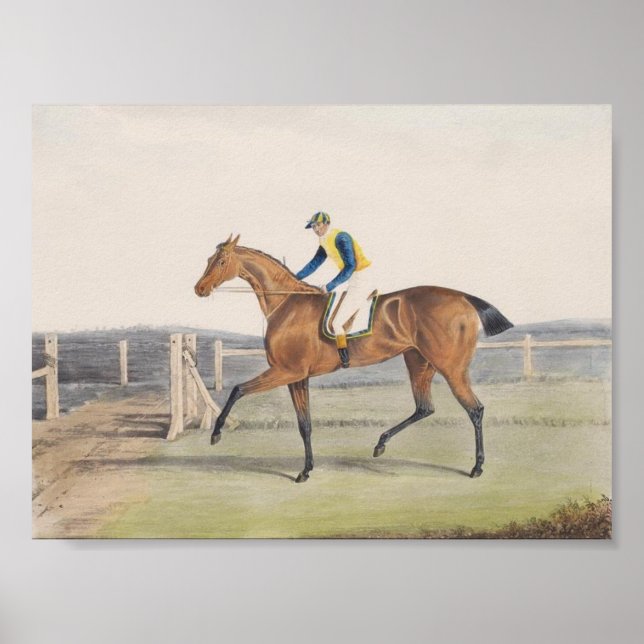 Poster Hippocampe britannique (La Duchesse) (Devant)