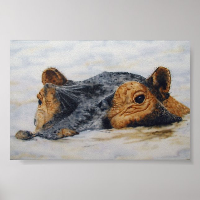Poster hippopotame (Devant)