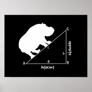 Poster Hippotenuse