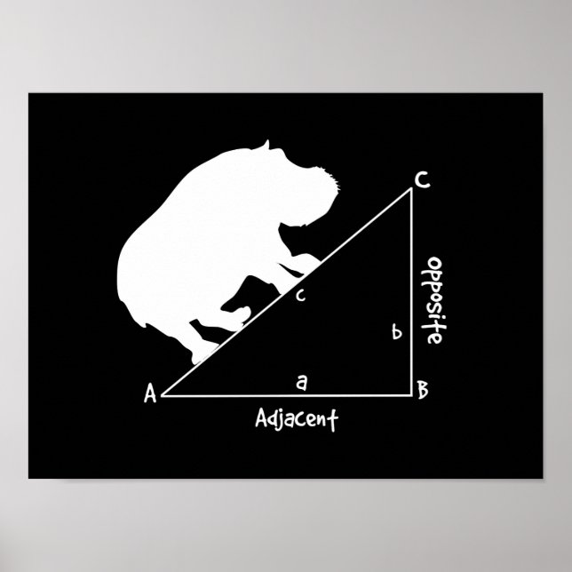 Poster Hippotenuse (Devant)