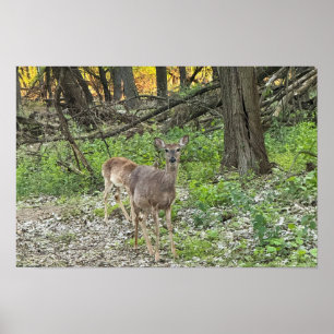 Poster "Hirsch in Holz"