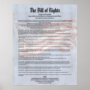 Poster Histoire de la Constitution américaine, Bill des d