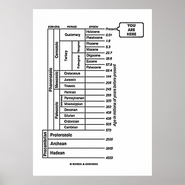 Poster Histoire de la Terre (Devant)