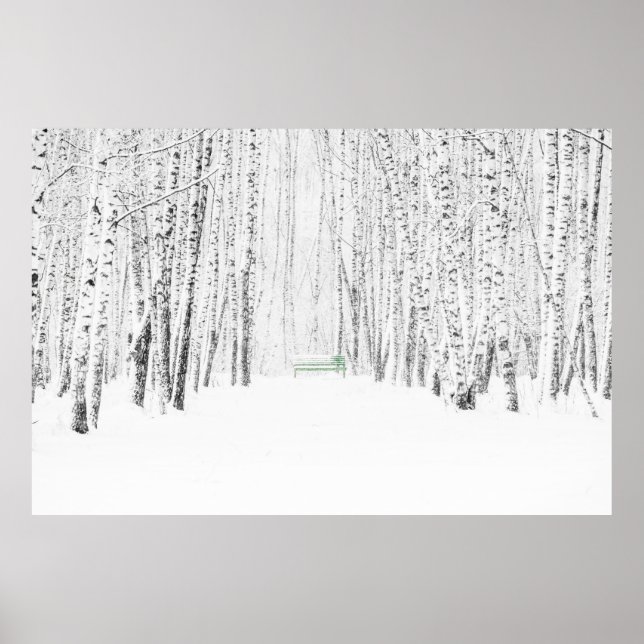 Poster Histoire de Noël blanche (Devant)