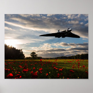 Poster Histoire Vulcaine