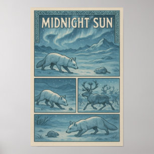 Poster Histoires d'Aurora arctique