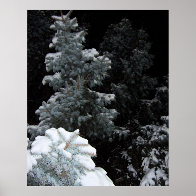 Poster Hiver (Devant)