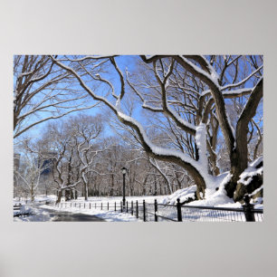 Poster Hiver à Central Park, New York