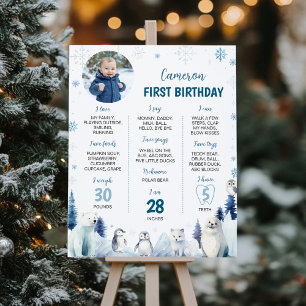 Poster Hiver Arctic Animaux 1er anniversaire Jalon Photo
