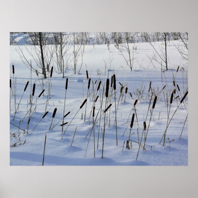 Poster Hiver au Québec (Devant)