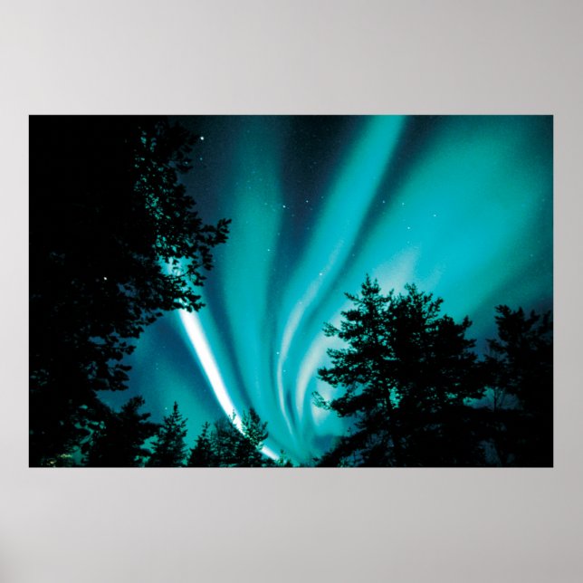 POSTER HIVER AURORA (QUALITÉ D'IMPRESSION) 46X31 (Devant)