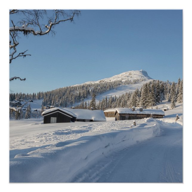 Poster Hiver en Norvège (Devant)