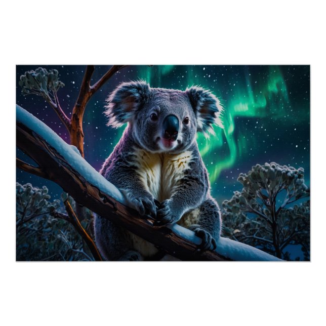 Poster Hiver Koala et Southern Lights (Devant)