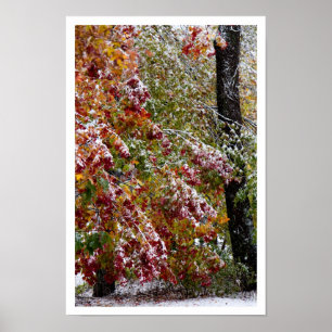 Poster Hiver précoce