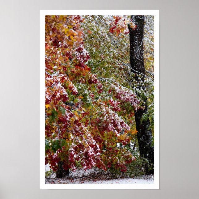 Poster Hiver précoce (Devant)