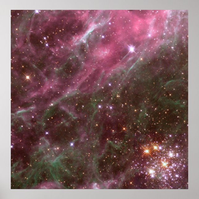 Poster Hodge 301, Tarantula Nebula (Devant)